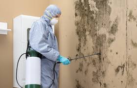 Why You Should Choose Our Mold Remediation Services in Lakemont, PA